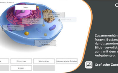 Grafische Zuordnung mit ONYX