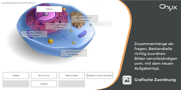 Grafische Zuordnung mit ONYX