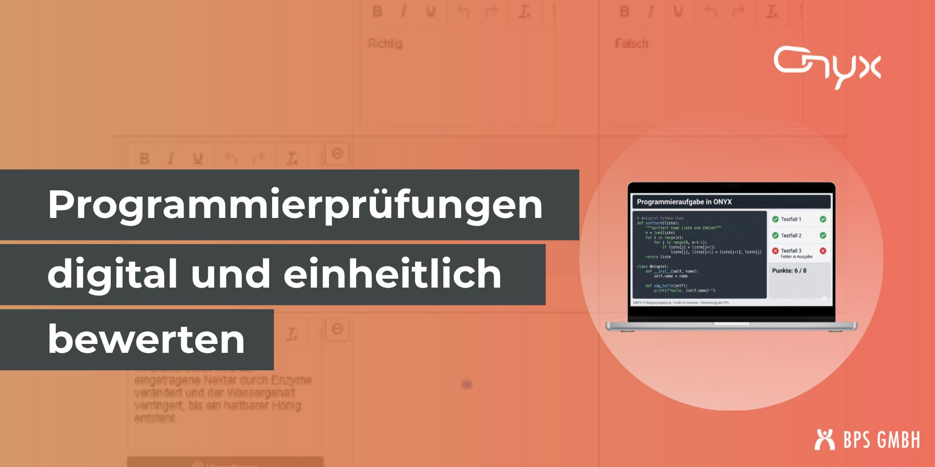 Programmieraufgaben in der ONYX Prüfungsplattform